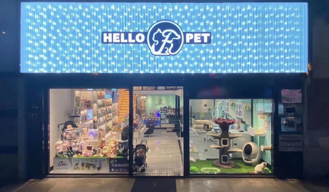 电脑萤幕画面中度可信度描述已自动生成